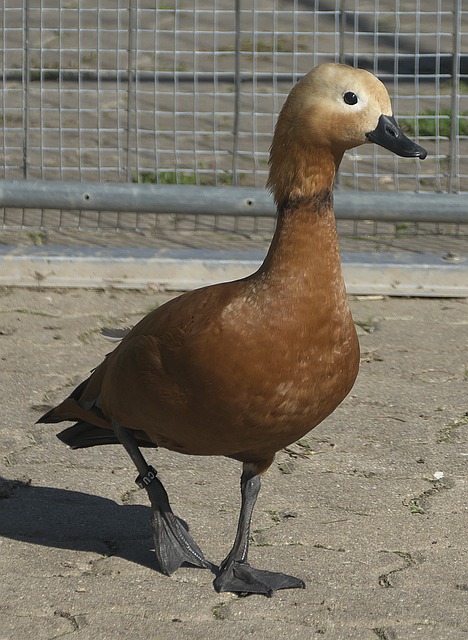 不容忽视