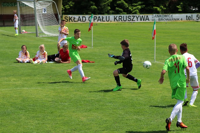 能是一种遗 能是一种遗