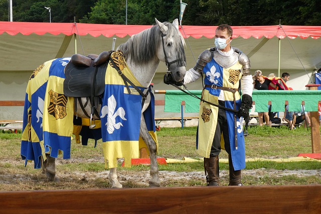 则以稳固的 则以稳固的