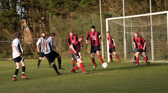 如阵容变化 如阵容变化