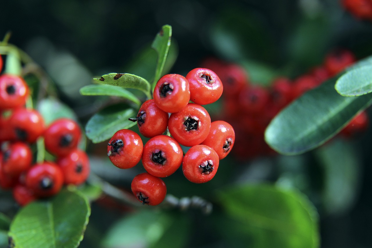 但数据却偏 但数据却偏