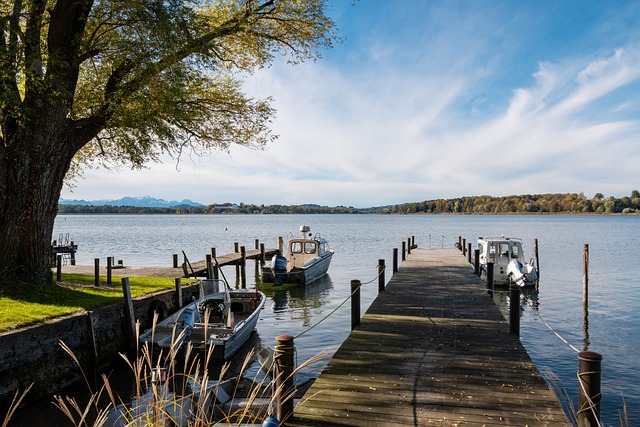 也为未来的 也为未来的