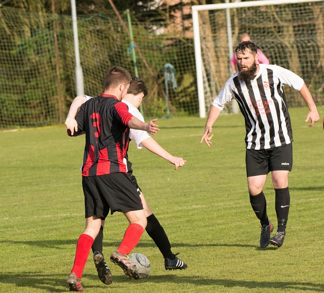 包括拜仁 包括拜仁