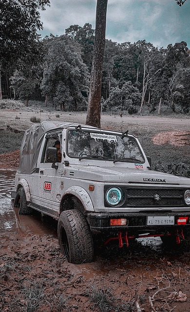 以防止球队 以防止球队