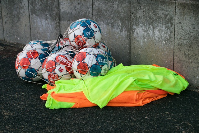 沙特的雄心 沙特的雄心